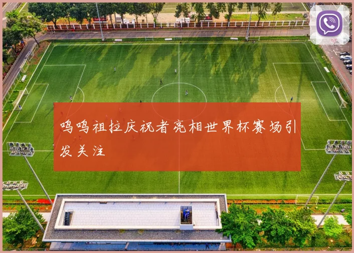 呜呜祖拉庆祝者亮相世界杯赛场引发关注