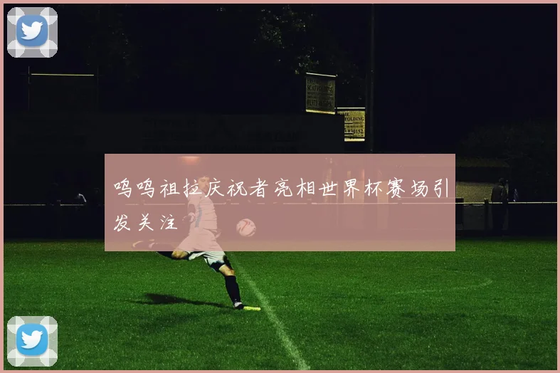 呜呜祖拉庆祝者亮相世界杯赛场引发关注