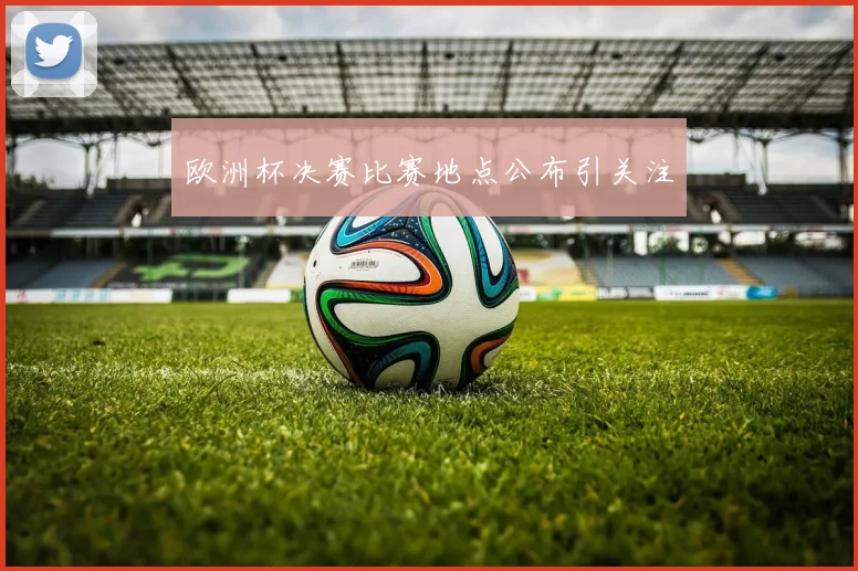 欧洲杯决赛比赛地点公布引关注