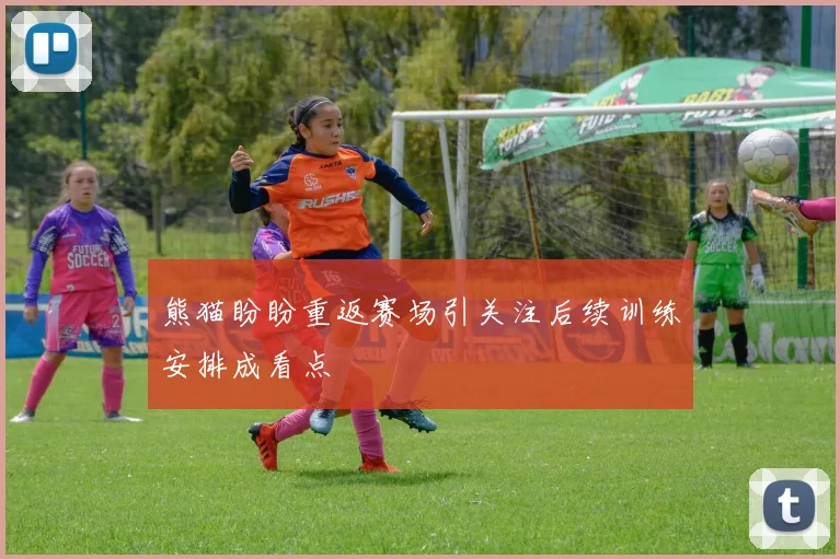 熊猫盼盼重返赛场引关注后续训练安排成看点