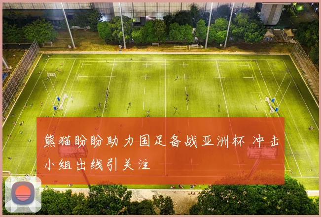 熊猫盼盼助力国足备战亚洲杯 冲击小组出线引关注