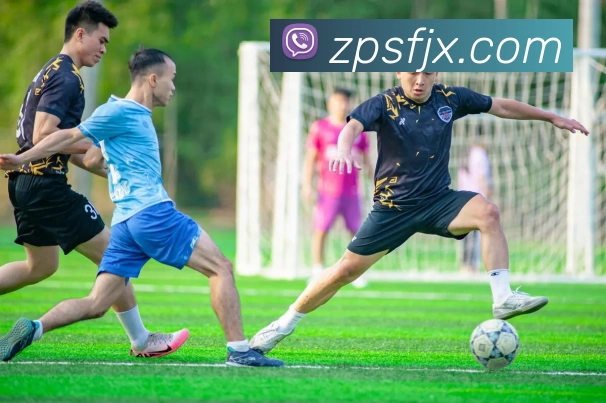 世界杯平台官网登录平台生态图